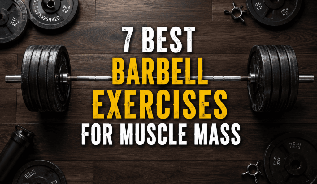 best barbell exercises for building muscle mass