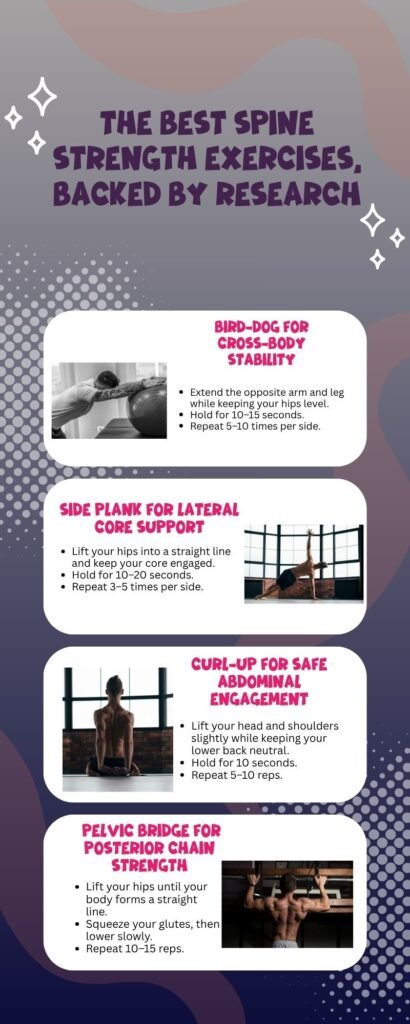 Best spine strength exercises infographic