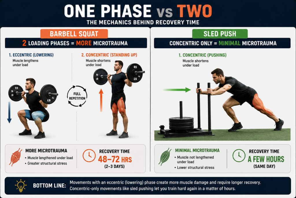 Diagram comparing the eccentric and concentric loading phases of a squat versus the concentric-only motion of a sled push